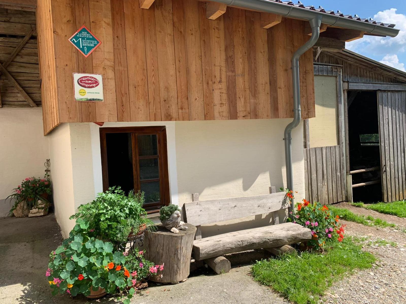 Biohof Goelly Villa Neumarkt in Steiermark Exterior photo