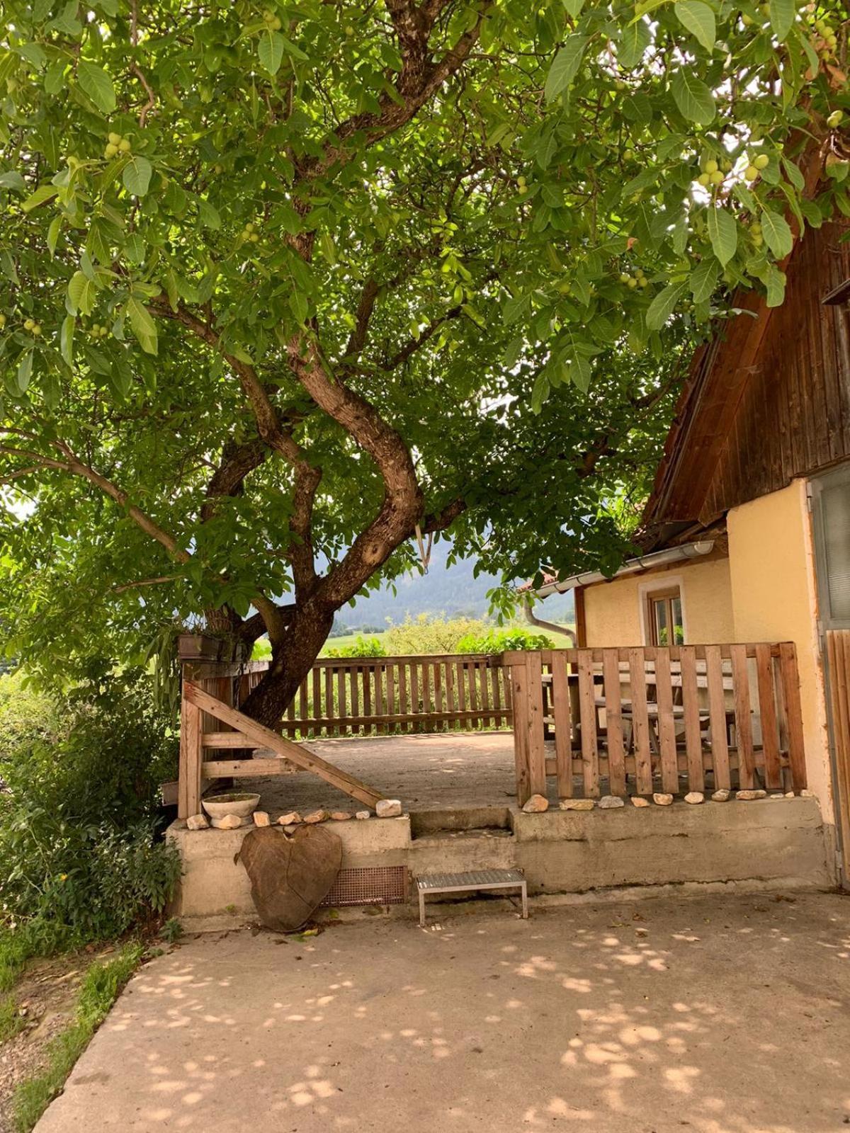 Biohof Goelly Villa Neumarkt in Steiermark Exterior photo